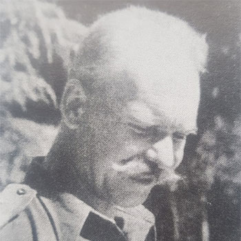 przew_sulik.jpg