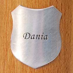 sztandar_kraj_dania.jpg