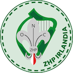 logo_irlandia.png