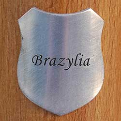 sztandar_kraj_brazylia.jpg